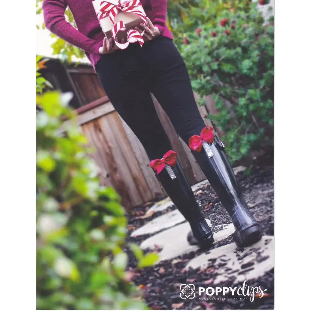 PoppyClips BootClips Fairy Wings